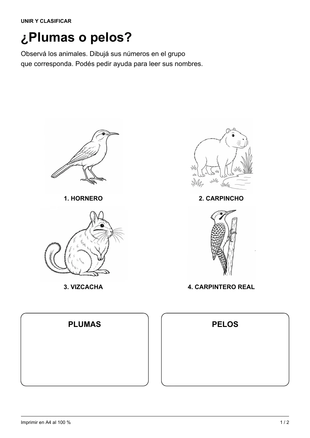 ¿Plumas o pelos?